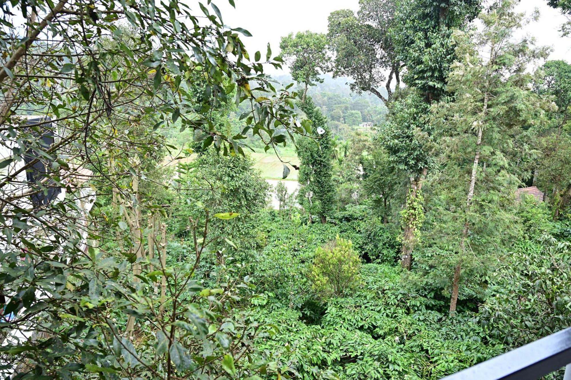 Grand Misty Heaven Villa Madikeri Exteriör bild