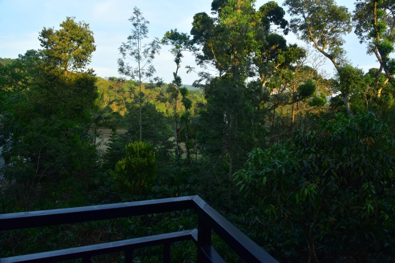 Grand Misty Heaven Villa Madikeri Exteriör bild